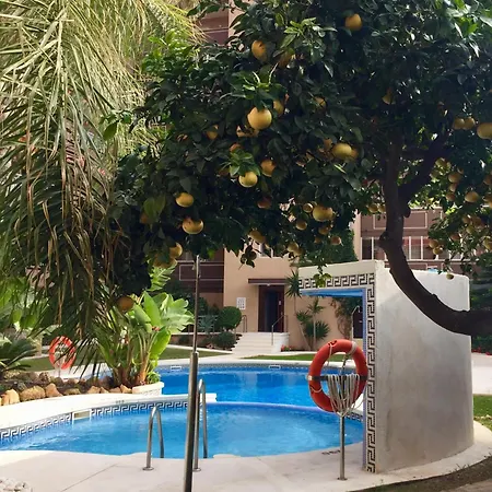 Apartment Palm Apartment, 1 Bedroom, Pool, Beautiful Garden, Parking Fuengirola
